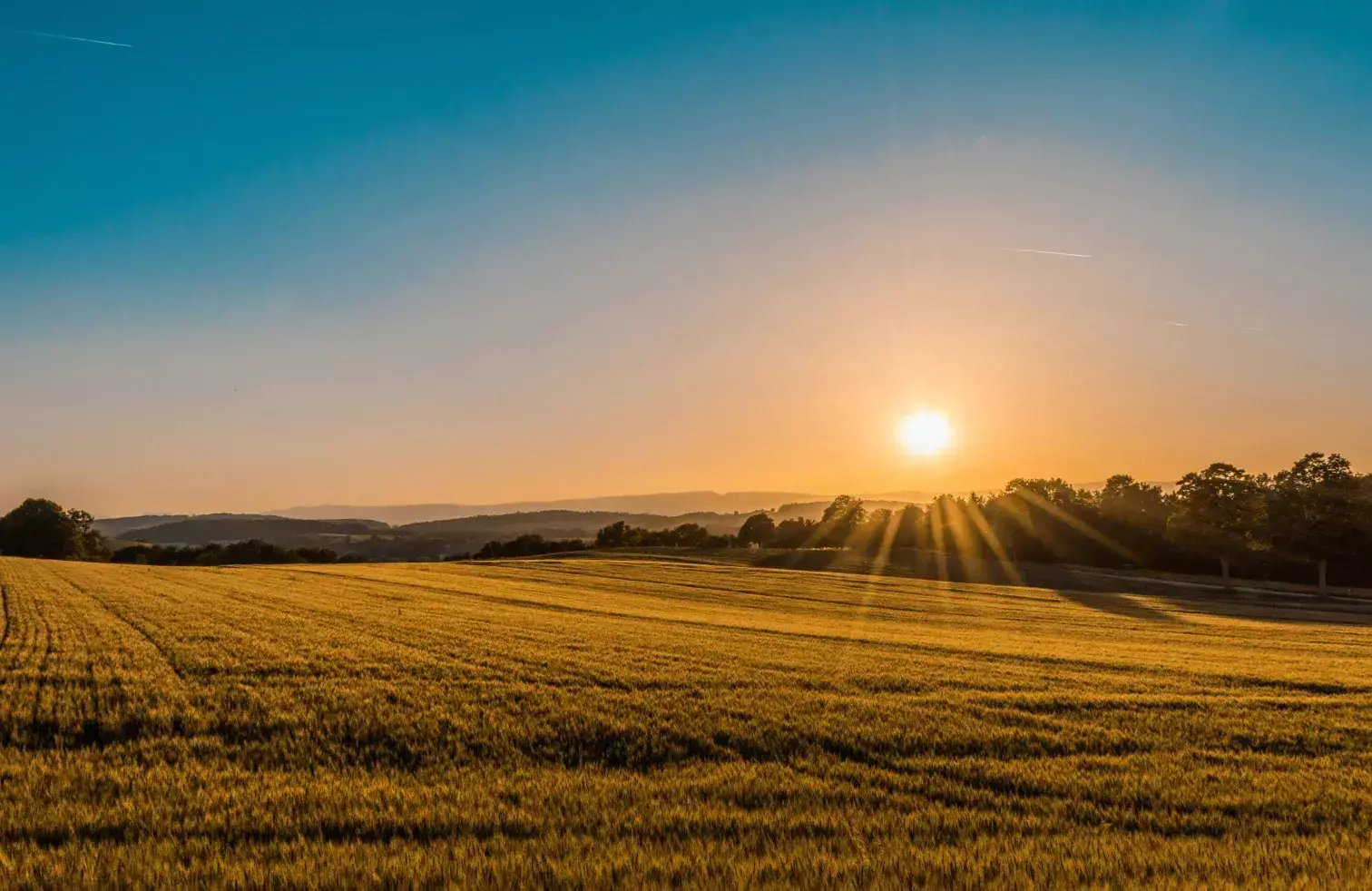 Farm field sunrise