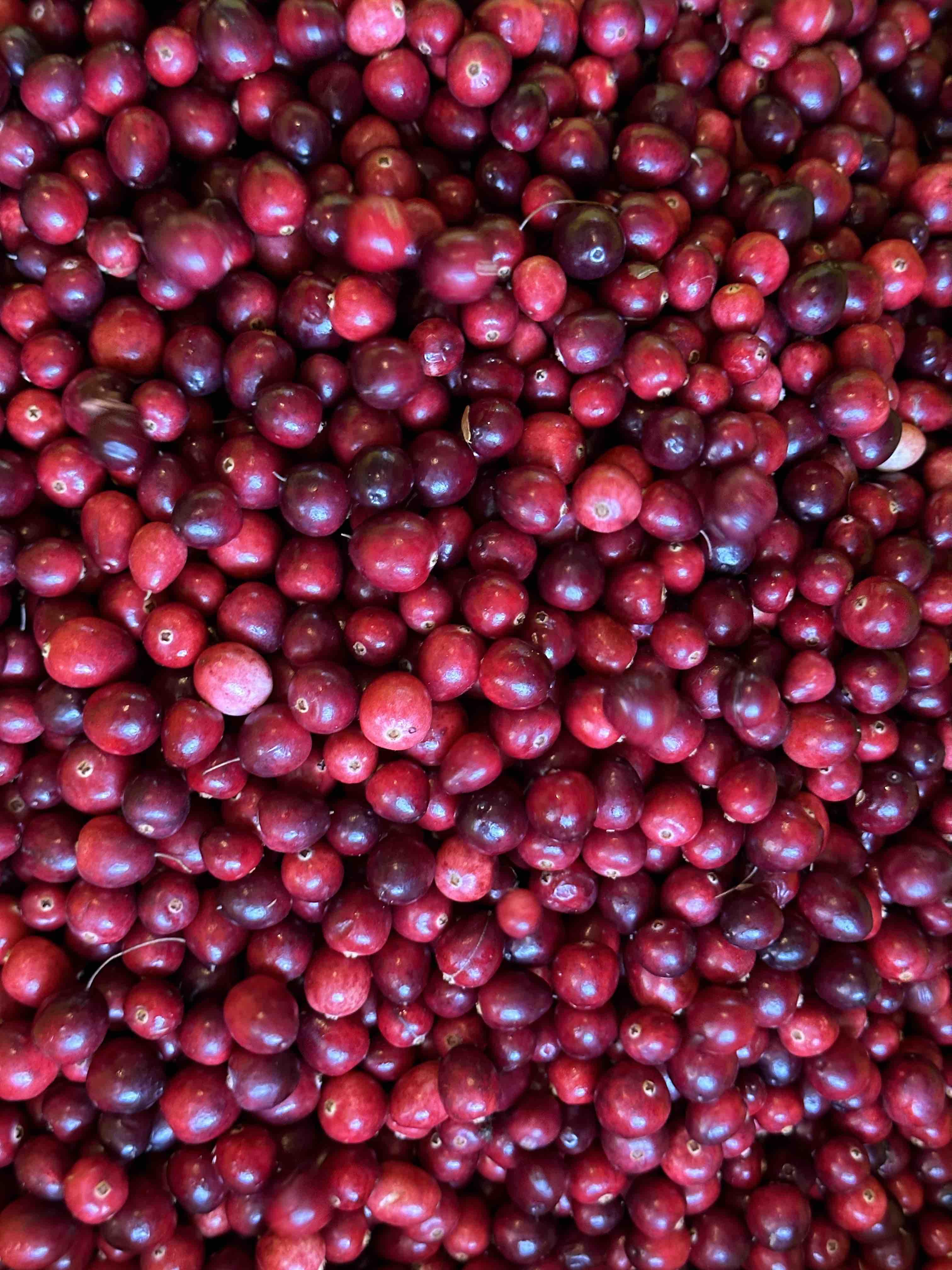Cranberry Summer