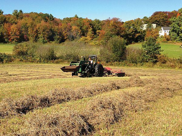 Image of a tractor mowing a field