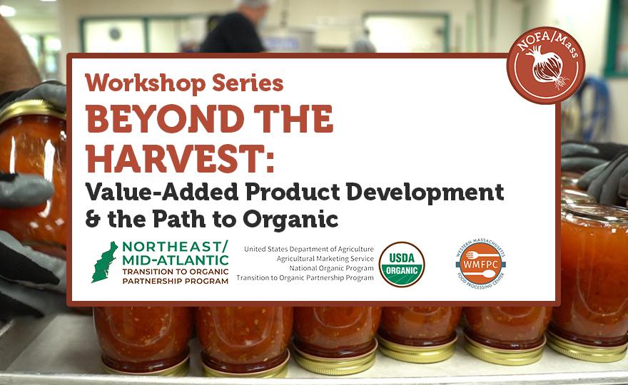 Beyond the Harvest web series flyer