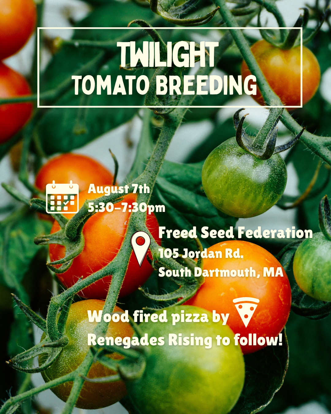 Tomato Twilight